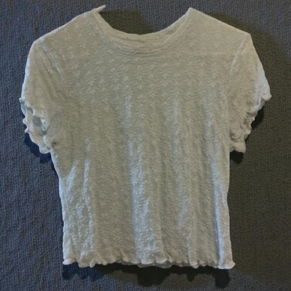 Elegant Baby Blue Textured Short Sleeve Blouse